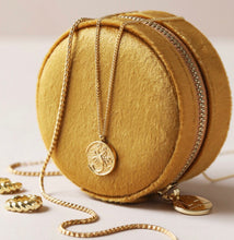 Mustard Gold Jewellery Case